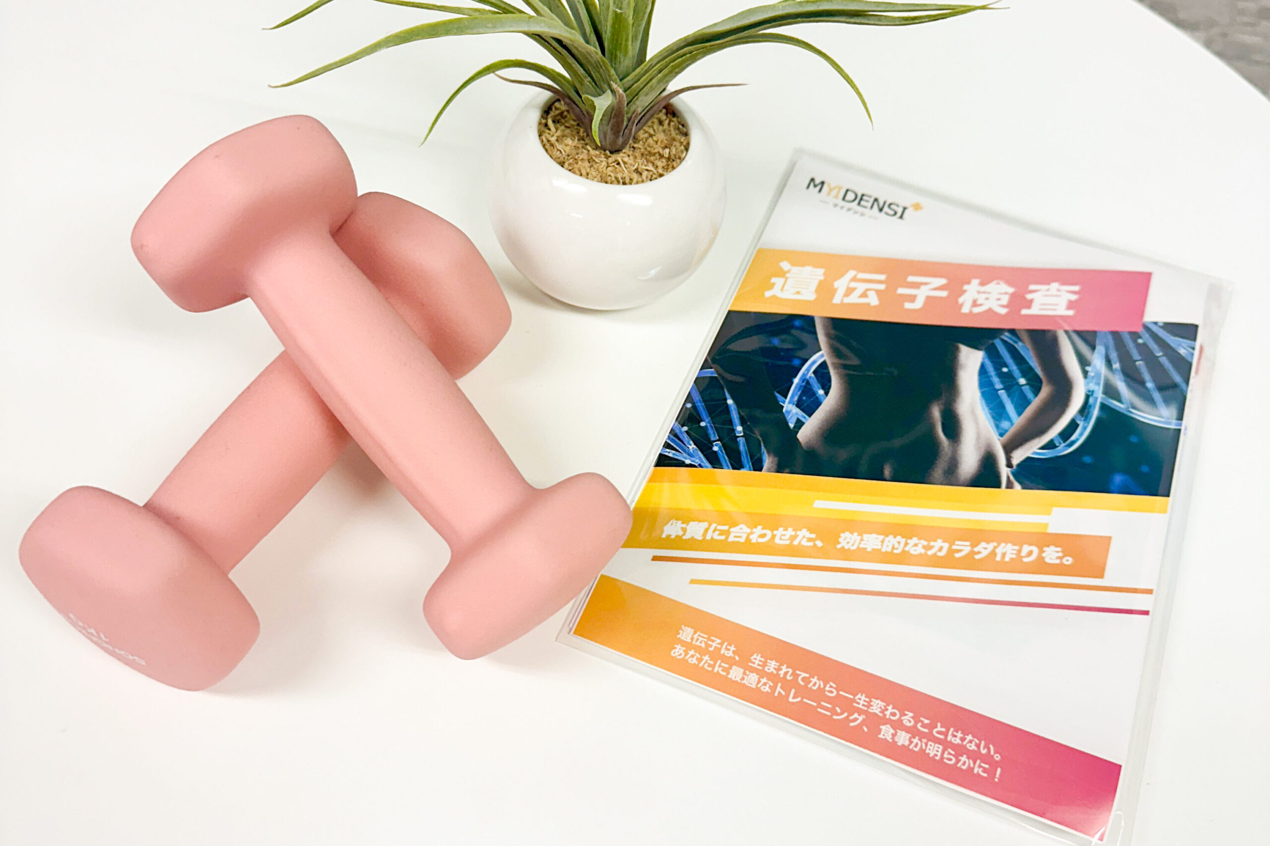人気のDNA検査